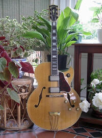 Gibson Byrdland